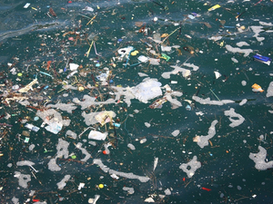  Le monde doit d'urgence s'attaquer à la pollution plastique marine, alerte le WWF