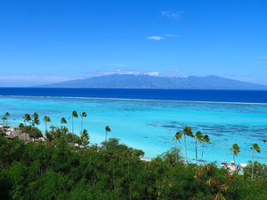  La Polynésie française veut protéger un million de km2 dans l'océan