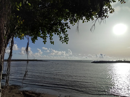 Entrée du Port de St Pierre depuis Terre Sainte Entrée du Port de St Pierre depuis Terre Sainte
