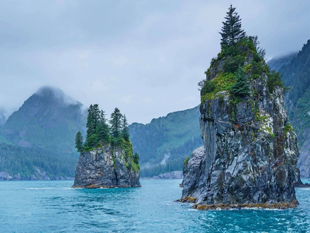 Parc national des Fjords de Kenai, Alaska