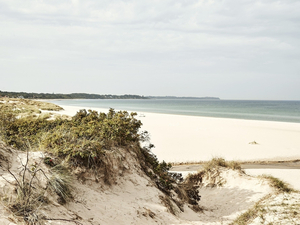 Cap sur le Danemark, sauvage et minimaliste