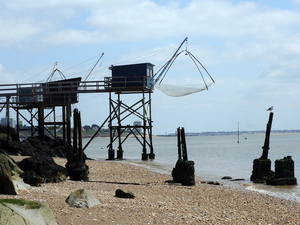  Ressources halieutiques: nette amélioration en 20 ans