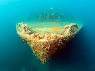 Découvrir l'épave de la Pecorella en Corse