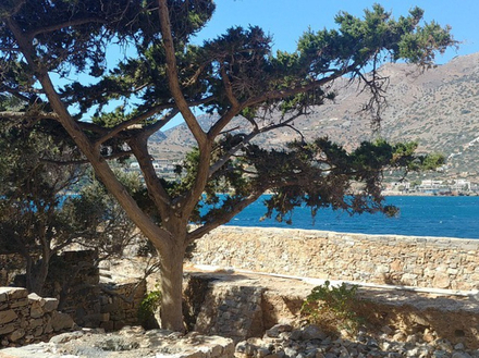 A quelques encablures de la terre, l'îlot est aujourd'hui un cadre de promenade bucolique A quelques encablures de la terre, l'îlot est aujourd'hui un cadre de promenade bucolique