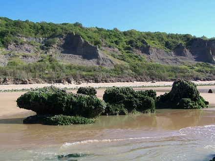 Aux pieds des falaises des Vaches-Noires  Aux pieds des falaises des Vaches-Noires