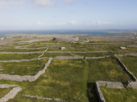 Les murets de pierres sèches divisent les îles en une multitude de parcelles  Les murets de pierres sèches divisent les îles en une multitude de parcelles