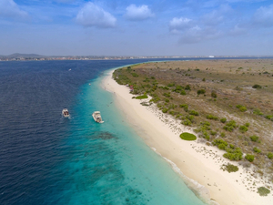Plongée au paradis à Bonaire dans les Caraïbes