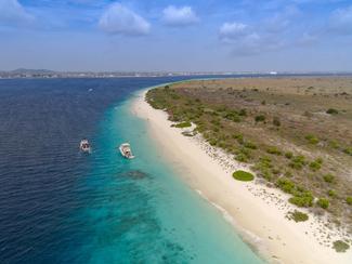 Plongée au paradis à Bonaire dans les Caraïbes