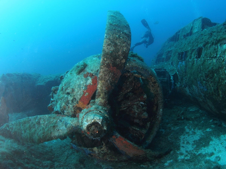 Nautisme Article