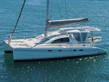 Leopard 43 Leopard 43