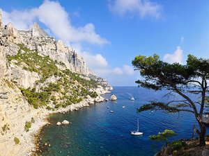 Moyennant réservation, une calanque marseillaise espère retrouver sérénité et biodiversité