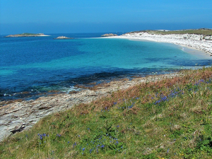  Appel à témoin pour une suspicion de pollution dans l'archipel des Glénan