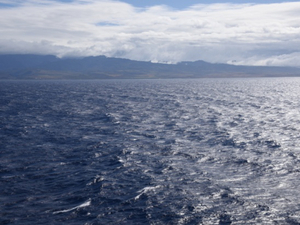 Création d'une coalition pour protéger l'océan Pacifique