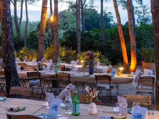 Le Poisson Ivre, dans la pinède de la...