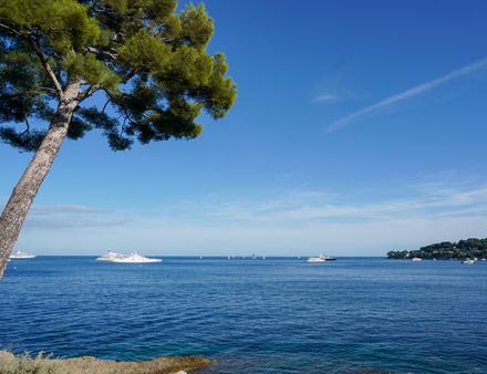 Bateaux de plus de 20 mètres en baie de Beaulieu-sur-Mer Nautisme Article