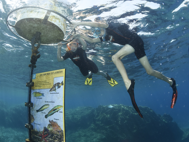 Nautisme Article