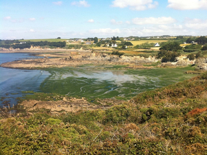 Algues vertes : triplement des capteurs d'hydrogène sulfuré sur les plages bretonnes