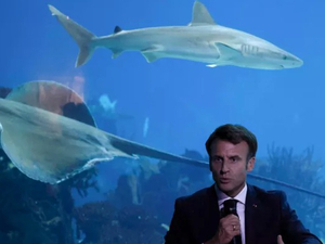 La France candidate à l'organisation de la conférence sur les océans de 2025