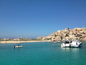 À la découverte des petits fonds de Méditerranée