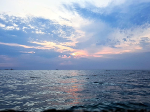 Les grands fonds marins suscitent convoitise et inquiétude