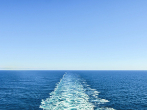 Pour défendre les océans, l'ONU met le cap sur la haute mer