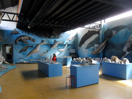 Museo Acatushún, Estancia Harberton Museo Acatushún, Estancia Harberton