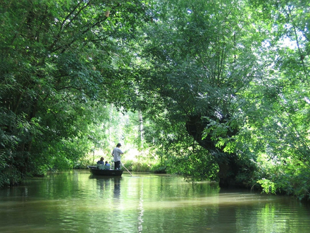 Les marais poitevins