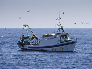 Nouveau secrétaire d'Etat à la Mer, Berville veut défendre pêcheurs et océans