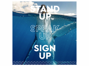 The Ocean Race a lancé une campagne pour une Déclaration Universelle des Droits de l'Océan