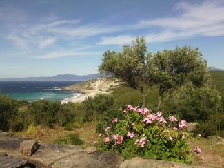 La pointe du Cap Corse par le sentier du littoral