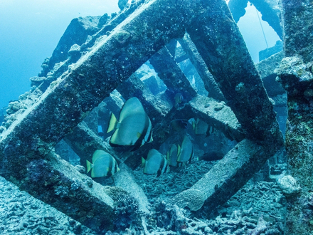 L'archipel Kerama offre plus de soixante sites de plongée au milieu de pentes douces, de canyons et de tombants.