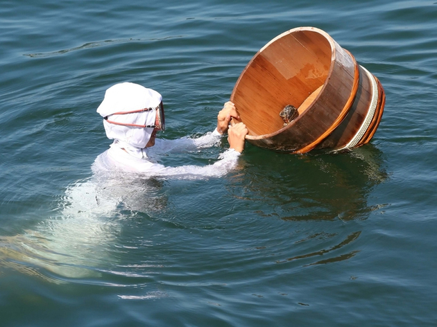 Une femme en train de récolter des huîtres perlières Nautisme Article