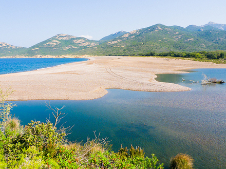 L'été, il est possible d'explorer le Delta du Fangu en kayak, un moyen écologique et efficace pour observer au plus près ses espèces animales et végétales L'été, il est possible d'explorer le Delta du Fangu en kayak, un moyen écologique et efficace pour observer au plus près ses espèces animales et végétales