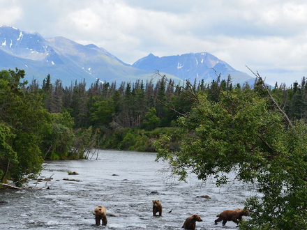 Katmai National Park Katmai National Park