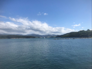 Cantilène Cantabrique : avis aux navigateurs !