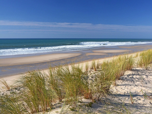 Les plus jolies plages sur la côte atlantique du Médoc