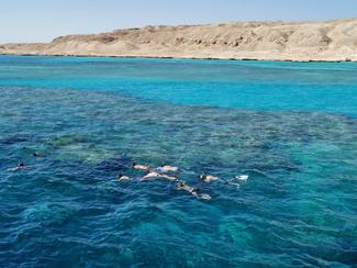 Egypte : 10 spots de plongée de rêve en mer Rouge