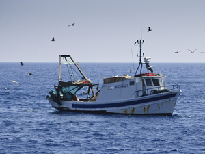 Pêche : l'UE ferme une partie de l'Atlantique au chalutage en eau profonde