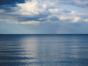 Des aires maritimes protégées mais pas assez ? Une ONG attaque le gouvernement