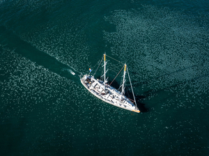 La goélette scientifique Tara de retour après un périple de 70.000 km