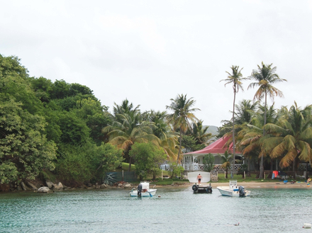 Petite Anse - Les Saintes Petite Anse - Les Saintes