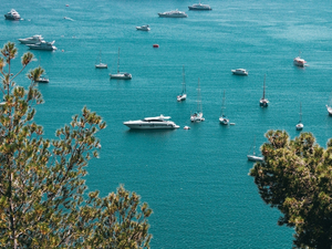 Protection de la posidonie en Méditerranée : la réglementation commence à porter ses fruits