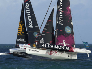 Une préférence pour le sud