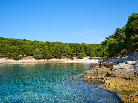 Gortanova uvala Gortanova uvala