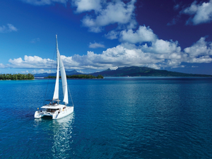 Gagner une croisière à vie avec GlobeSailor ça vous tente ? 