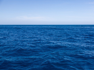 Protéger la haute mer « n'a que trop tardé », déplore le chef de l'ONU