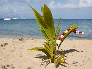 Naviguer en mode automne-hiver