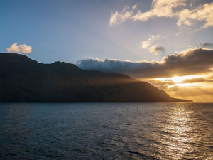 L'écosystème de l'île Amsterdam bientôt libéré des animaux introduits
