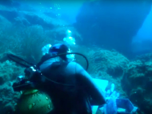 Biodiversité : la France lance une vaste cartographie génétique de son milieu marin