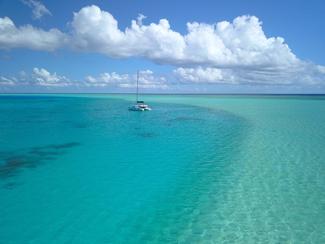 Les premiers bateaux électriques rejoignent la...